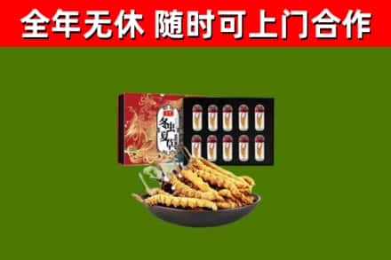 长武回收冬虫夏草价格